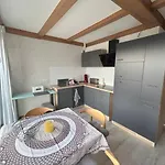 Must Dogs Apartament
