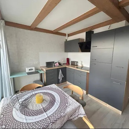 Must Dogs Apartment