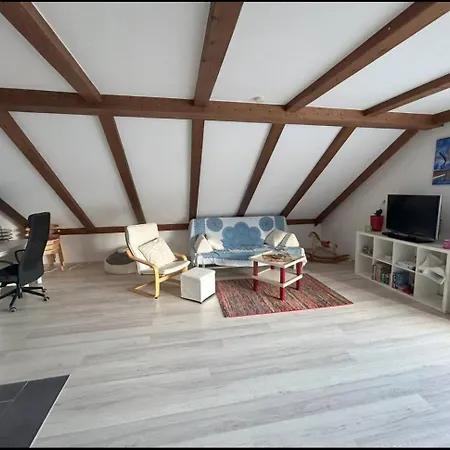 Must Dogs Koblenz (Rhineland-Palatinate)