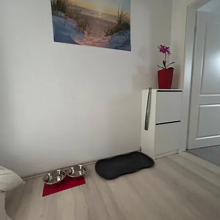 Must Dogs * コブレンツ