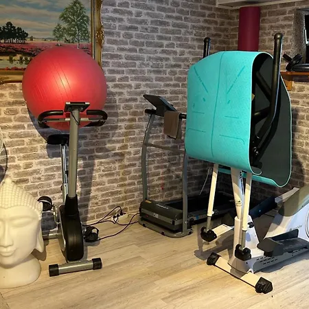 Must Dogs * コブレンツ