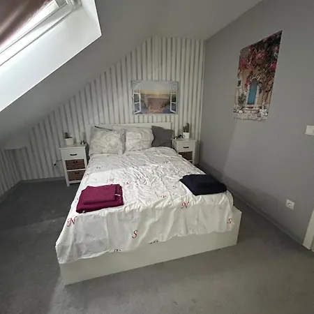 Must Dogs アパート