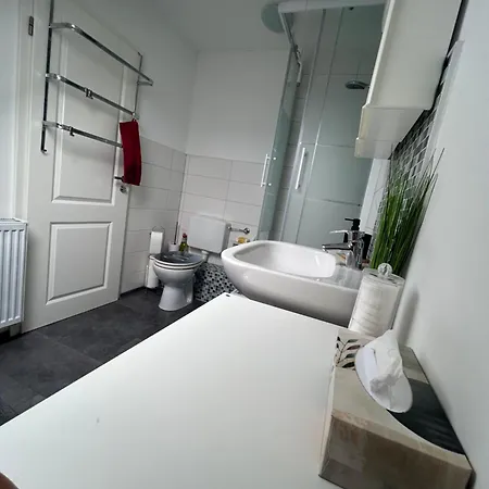 Must Dogs * Koblenz (Rhineland-Palatinate)