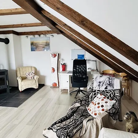 Apartment Must Dogs *
