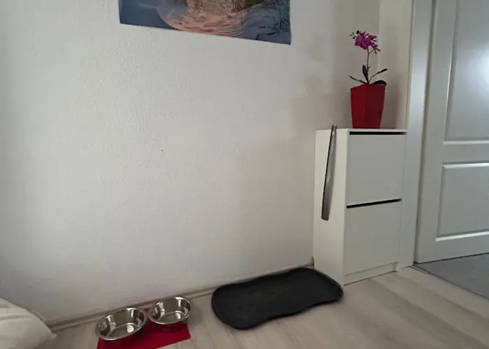 Must Dogs * קובלנץ