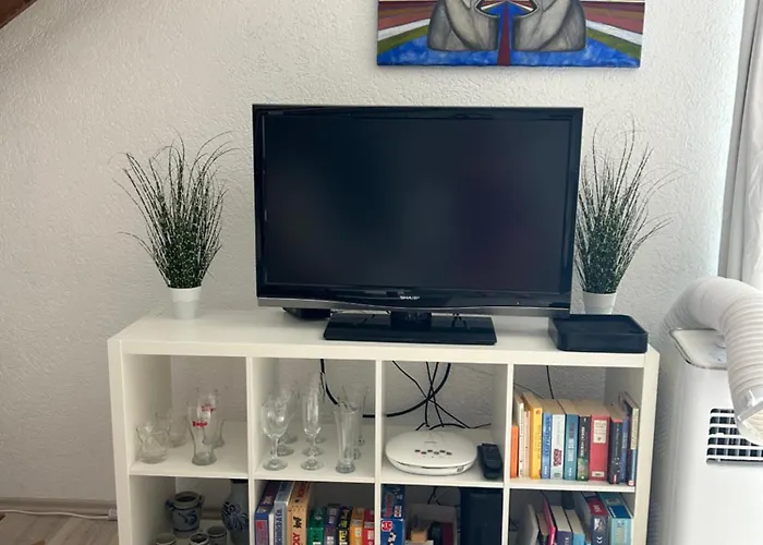 Must Dogs דירה *