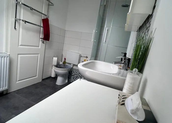 Must Dogs * קובלנץ